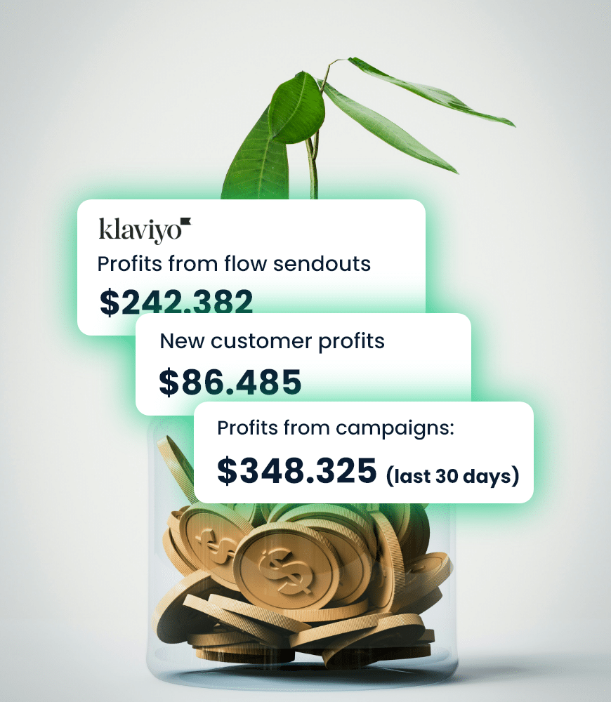 See the true profits from Klaviyo campaigns and flows